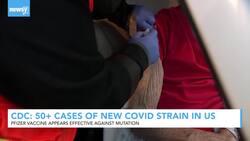 Pfizer Vaccine Appears Effective Against New Coronavirus Variant News Clip