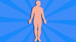 I WONDER - Do Our Cells Need Blood? Instructional Video