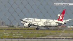 Federal agents raid puppy importers News Clip