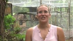 The fight to save endangered animals from smuggling News Clip