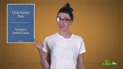 Solar-Powered Plane and Contagious Shellfish Cancer Instructional Video