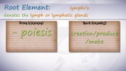 HST-MT - Medical Terminology of the Lymphatic System Instructional Video