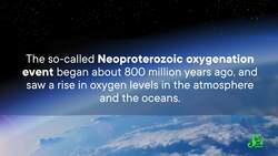 The New Oldest Animal Fossils? Instructional Video