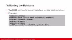 Oracle Database Administration from Zero to Hero - Using Data Recovery Advisor (Part 2 of 2) Instructional Video