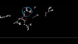 Lipase Activity Instructional Video