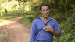 Elephant poo coffee News Clip