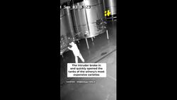 Caught On Camera: Intruder Spills 60,000 Litres Of Wine Worth ₹22 Crore News Clip