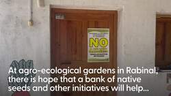 ‘Irish aid is vital’: At a seed vault in Guatemala, hope grows News Clip