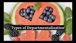 Types of Departmentalization Instructional Video