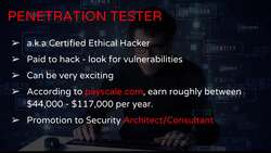 Becoming a Cyber Security Professional - A Beginner's Career Guide - Penetration Tester Instructional Video