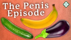 The Penis Explained: Sex Ed #3 Instructional Video