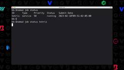 Getting Started with HashiCorp Nomad - Demo - Run Our First Nomad Job Instructional Video