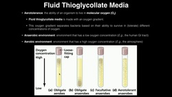 Microbiology Lab | Fluid Thioglycollate Media & Aerotolerance Instructional Video