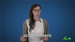 The Science of a Selfie Instructional Video