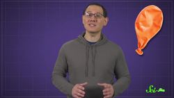 What Makes Fruit Mealy Instructional Video