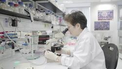 What Happens If We Solve Extinction? News Clip