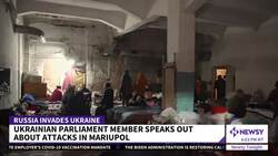 Ukrainian Parliament Member Calls On Leaders To Stand Up To Russia News Clip