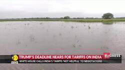 White House criticises India over high tariffs on US alcohol News Clip