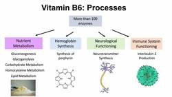 Vitamin B6 (Pyridoxine) Deficiency | Dietary Sources, Causes, Signs & Symptoms, Diagnosis, Treatment Instructional Video