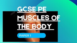 Learn the Muscle locations - GCSE PE paper 1 Instructional Video