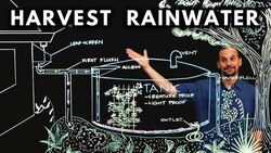 How to HARVEST RAINWATER from your roof Instructional Video