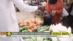 Nigeria's GDP growth signals economic recovery amid reforms News Clip