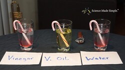 Learning About "The Hypothesis" by Dissolving Peppermint Instructional Video