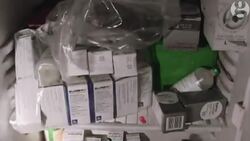 The pig superbug and the baby Instructional Video