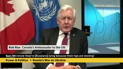 Russia's economy 'rapidly bottoming out,' says Bob Rae News Clip