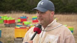 P.E.I. association wants the Island to be busier with bees, in a commercial sense News Clip