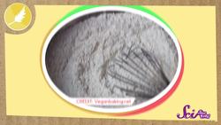 The 5 Fabulous Food Groups Instructional Video