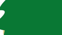 What Does the Government Do? Instructional Video