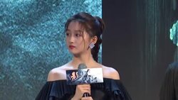 'Shadow' Beijing Press Conference Stock Footage