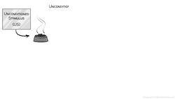 Pavlov’s Classical Conditioning Instructional Video