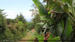 Top 6 Places to Visit in Jamaica Instructional Video