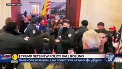 Trump Signs Executive Actions On Jan. 6, Tiktok, Climate, Immigration And More News Clip