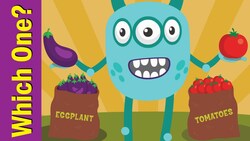 Which One Do You Want? Instructional Video