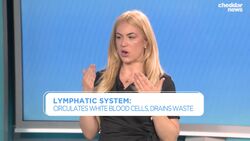 Be Well: How Lymphatic Massage Can Boost Your Immune System News Clip