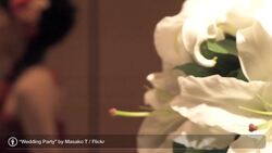 How to Pick a Wedding Florist Instructional Video