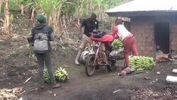 CLEAN : Two wheels good: Giant motorbikes are a lifeline in remote Cameroon News Clip