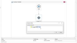 Robotic Process Automation - UiPath RPA Developer Masterclass - Boolean Variables Instructional Video