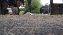 Horseracing's governing body has drawn up detailed plans for the sport to make a return with unprecedented restrictions. News Clip