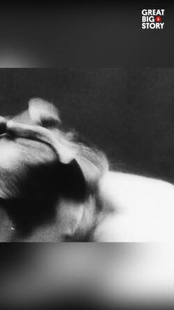 Roy Sims, an American Sumotori's journey	 Instructional Video