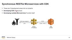 AWS Serverless Microservices with Patterns and Best Practices - Developing Lambda Handler Code Instructional Video