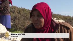 Israel military drills: Palestinians constantly removed from homes News Clip