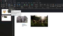 Inserting Images in Microsoft PowerPoint Instructional Video