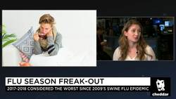What's Up With Everyone Getting the Flu? News Clip