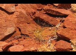 Our Earth - Wear and Tear Instructional Video