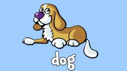 Farm Animals for Children! Instructional Video