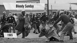 Protests at the White House Instructional Video